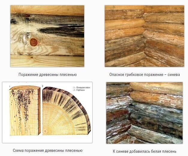 Универсальный антисептик для древесины Элис&Док № 3.8 марка «Д» 1:20 концентрат фото 2