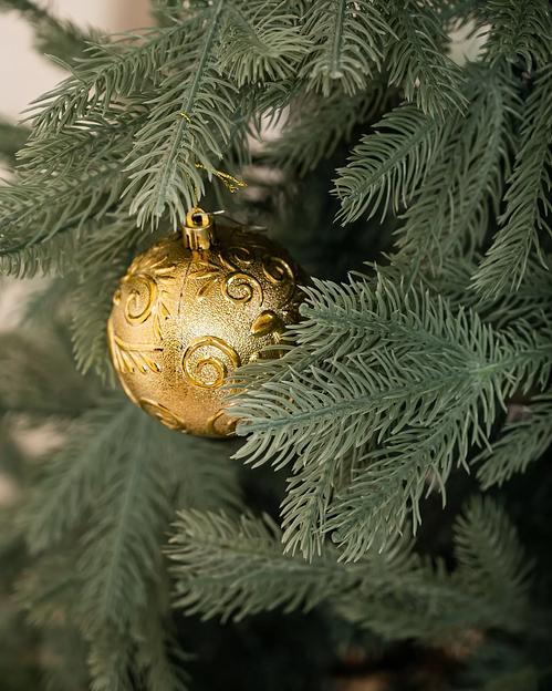 Голубая ель комбинированная «Баллада» опт фото 9