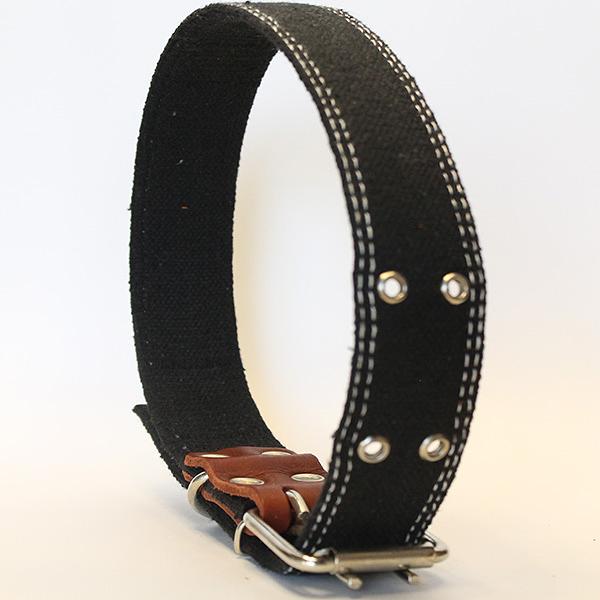Ошейник брезентовый двойной чёрный ОПТ фото 3