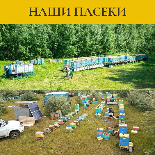 Мёд в сотах 200 г ОПТ фото 5