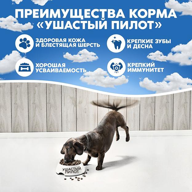 Корм для собак сухой «Ушастый пилот» с рыбой фото 7