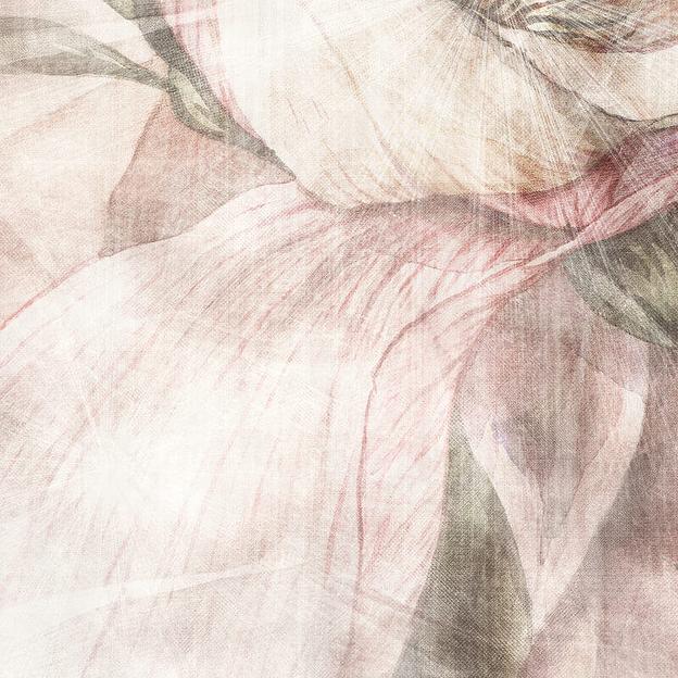 Обои avrora опт фото 4