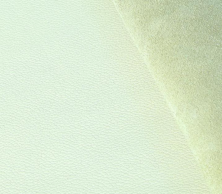 Кожа Натуральная. Артикул Наппа комфорт Мята пастель каскад фото 1