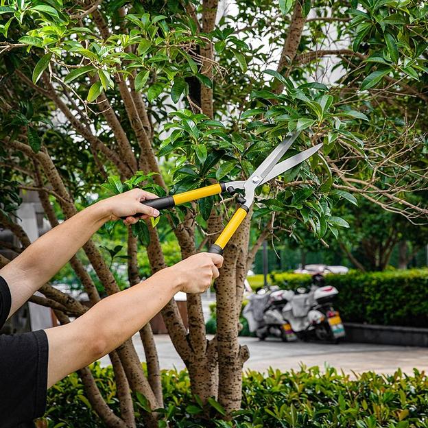 Набор сучкорез, кусторез, секатор Deli DL580003 длина 67/52/20 см, макс. диаметр реза 30/6/15 мм, сталь 55С фото 3