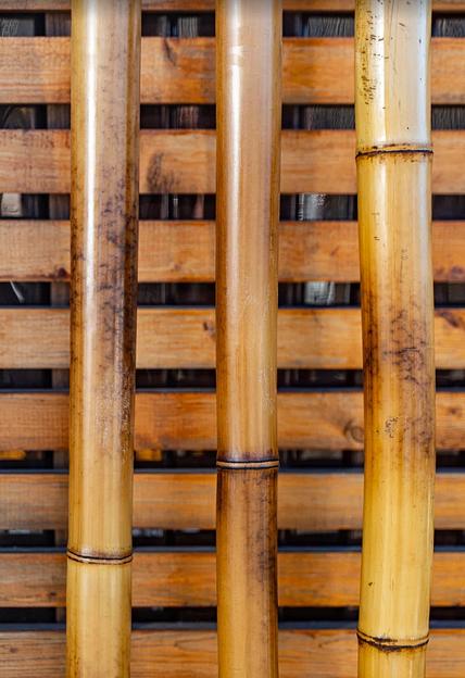 Ствол бамбука, 3м, Хаотичный обжиг, опт фото 2