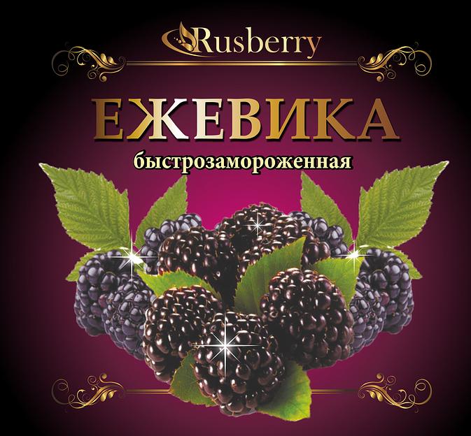 Ежевика опт фото 2