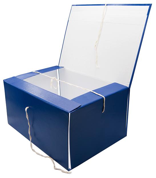 Папка архивная 4 завязки Silwerhof КБЗ-4-150P бумвинил корешок 150мм разобранный A4 ассорти фото 5