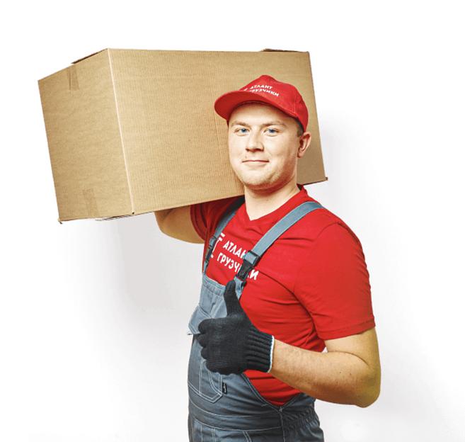 Услуга грузоперевозки по России фото 1