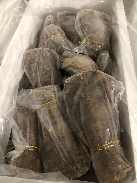 Песчаный лобстер замороженный фото 9