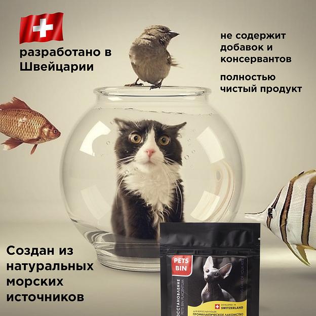 Добавка PETS BIN «Placentum» для кошек фото 4