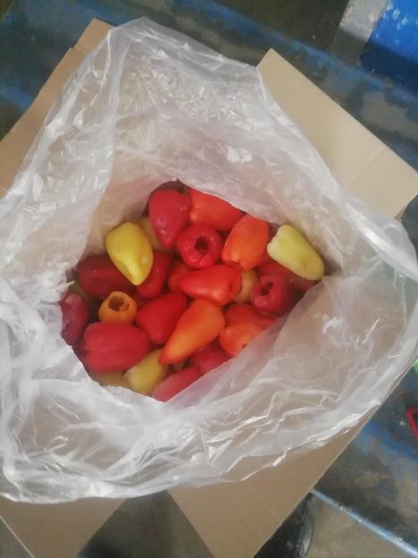 Перец болгарский замороженный чищеный целый фото 1