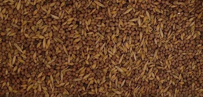 Вика-овсяная смесь 50/50, 30/70% опт фото 1