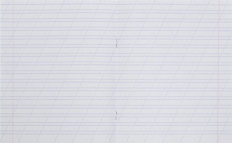 Тетрадь 12 л. линейка, узкая косая, офсет, Архангельский ЦБК, Опт фото 3