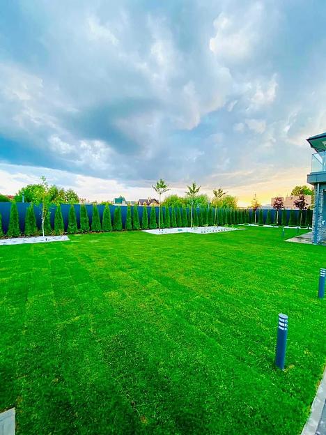 Газон GreenJusan рулонный фото 2