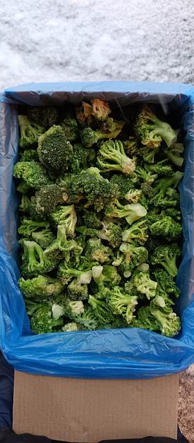 Брокколи замороженные. фото 1