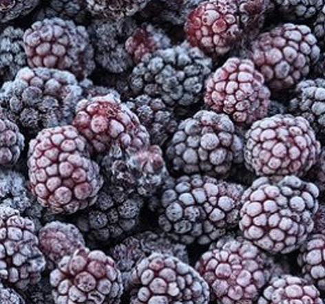 Ежевика опт фото 1