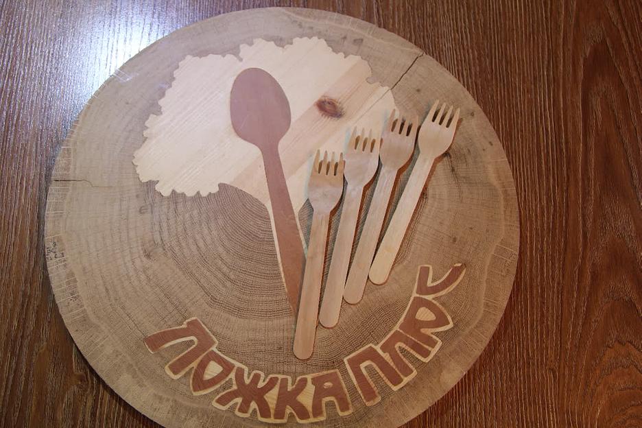 Набор одноразовых вилок (длинные зубцы) 160 мм, 10 шт фото 1