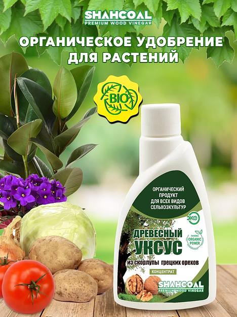 Древесный уксус из скорлупы грецкого ореха 250 мл (концентрат) ОПТ  фото 1