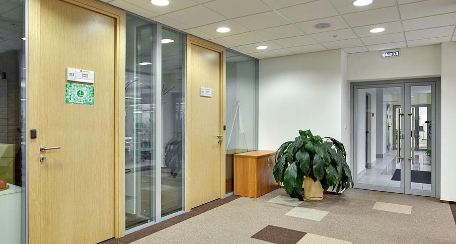 Двери NAYADA шпонированные Regina под заказ фото 6