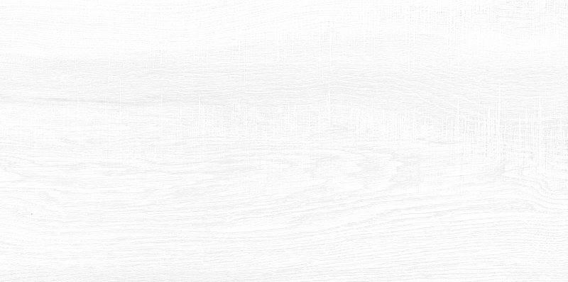 Плитка AltaCera Briole White WT9BRE00 249x500 фото 1