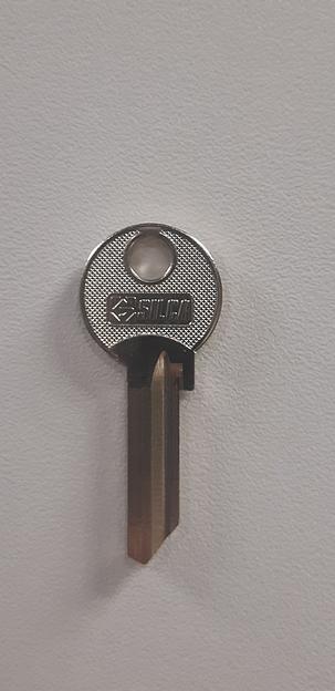 Заготовка ключа FB-22R фото 1