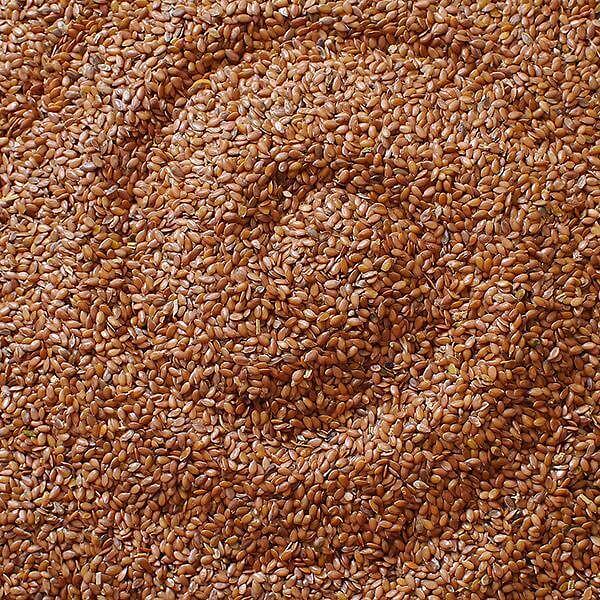 Семена льна фото 1