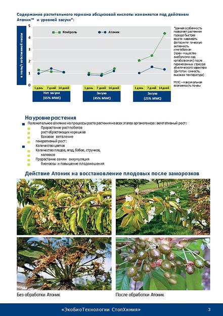 Атоник Плюс водорастворимый порошок 18 грамм ВРП фото 3