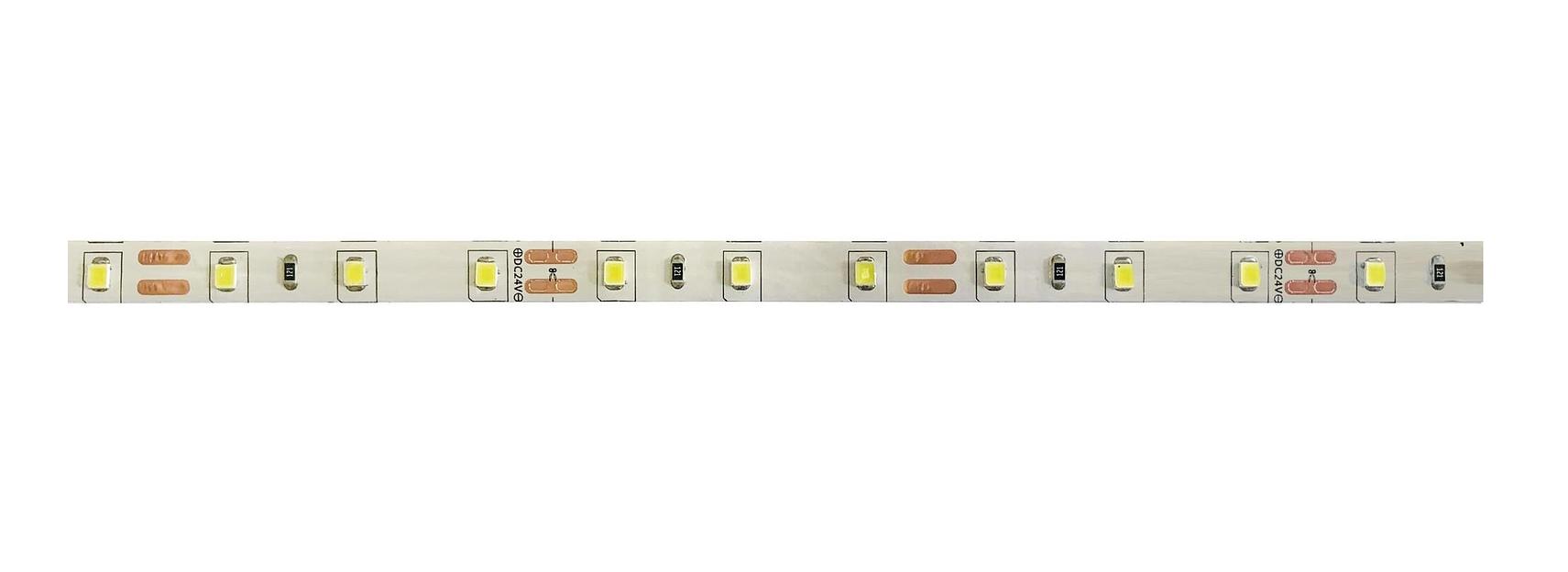Лента светодиодная PLS PRO 2835/120-24V - 6000K IP20 5m Jazzway фото 1