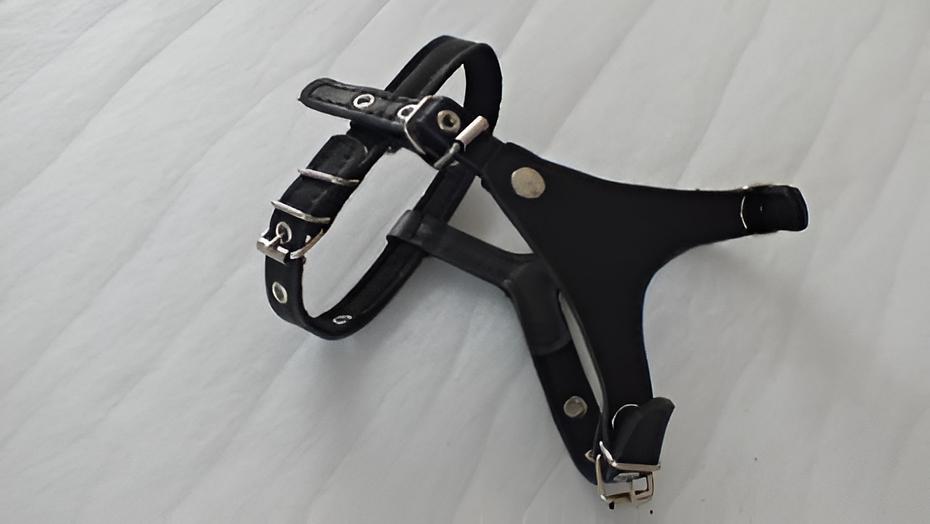 Шлейка из натуральной кожи, подкладка фетр XS ОПТ фото 1