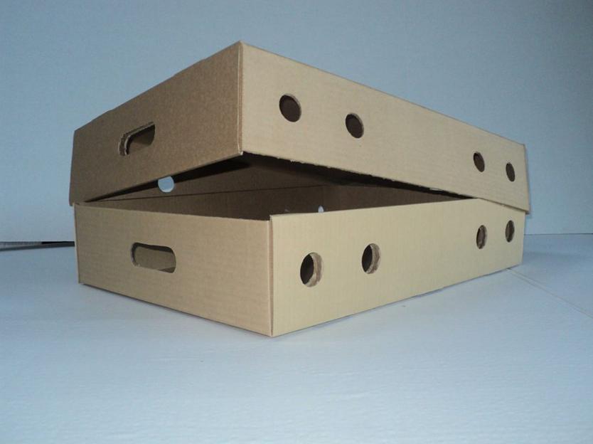 Изготовление картонных гофролотков для овощей от Гофро-Люкс фото 1