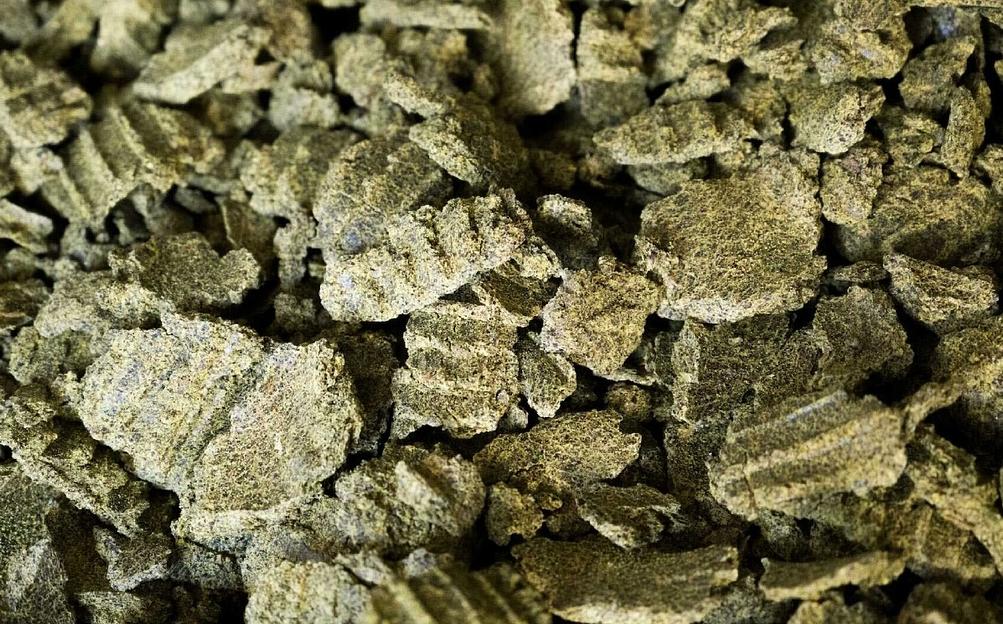 Жмых рапсовый, прот. 37-38% фото 1