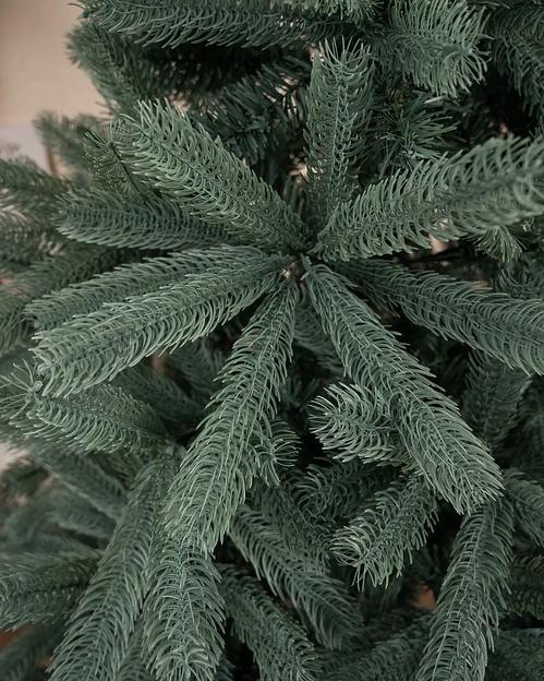 Голубая ель «Новелла» опт фото 2