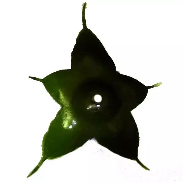 Крепеж для роз мульти 5см 144с 920шт/кг фото 2