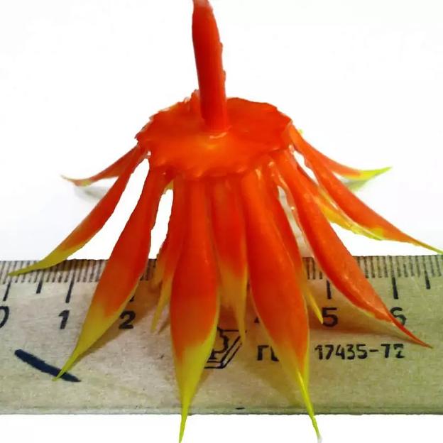 Добавка середина с ножкой Оранжевая 5-8см 168с (с крепл.) 548шт/кг фото 2