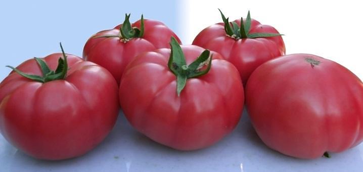 Семена томатов F1 «Розарио» опт фото 3