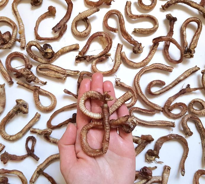 Трахея утиная завитки BuckDog, 500 г фото 1