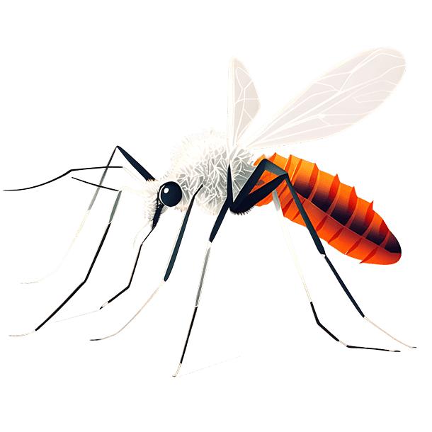 Услуга по ларвицидной обработке личинок комаров в Твери и Тверской области фото 1