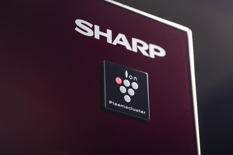 Холодильник Sharp Sharp SJ-GX98PRD (SJGX98PRD) фото 3