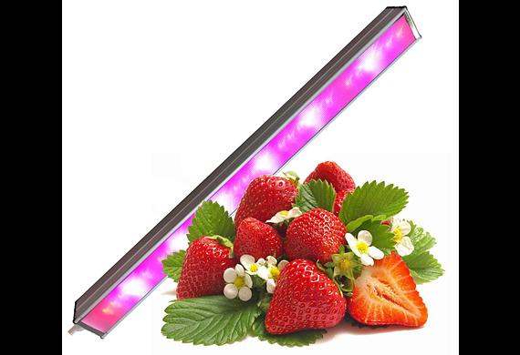 Фитосветильник «ФИТО-Оптима» общего назначения опт фото 6