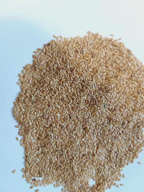 Семена льна золотистого/белого опт фото 2