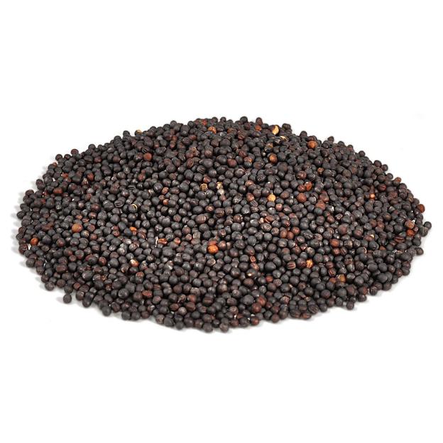 Посевные семена озимой суперицы сорта Гордея фото 1