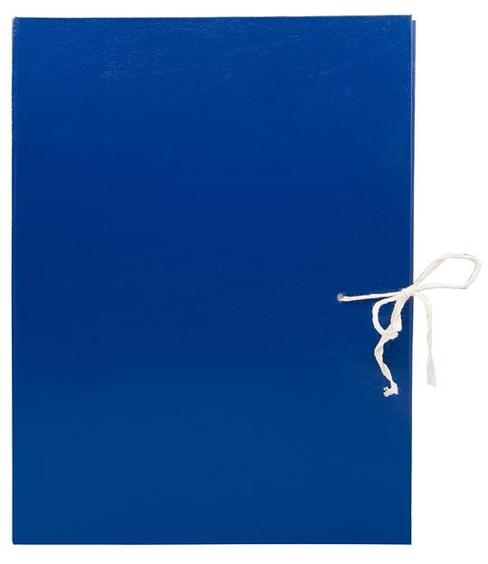 Папка архивная 4 завязки Silwerhof КБЗ-4-150P бумвинил корешок 150мм разобранный A4 ассорти фото 1