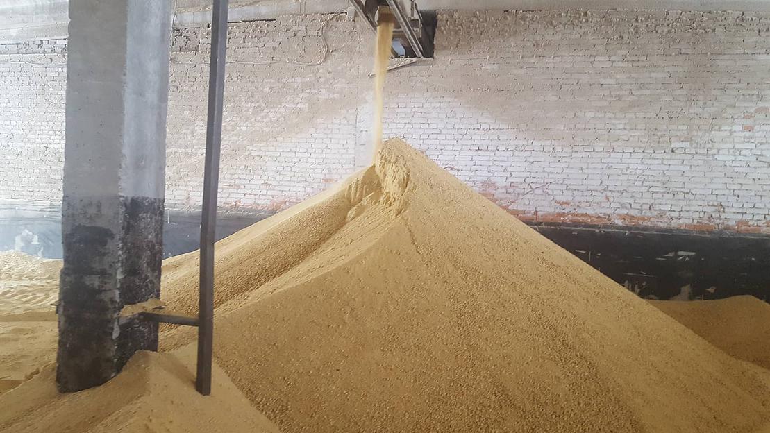 Шрот соевый, с содержанием протеина 51-52 % фото 1