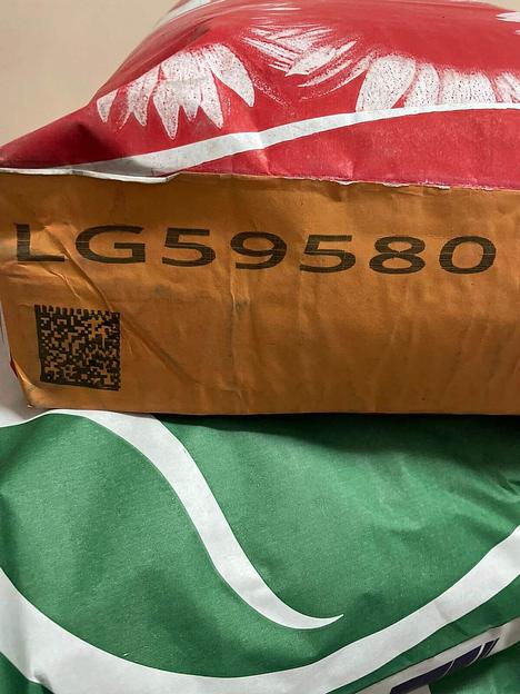 Гибрид семян подсолнечника LG 59580 фото 3