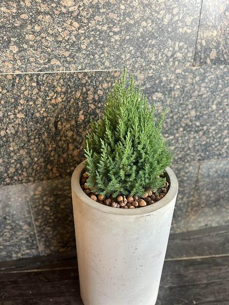 Цветочный вазон СтаркБет «Амарант средний» 25 л ОПТ фото 8