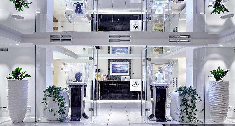 Двери NAYADA цельностеклянные под заказ фото 2