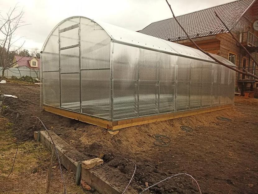 Прямостенная теплица «Богатырь» ОПТ фото 6