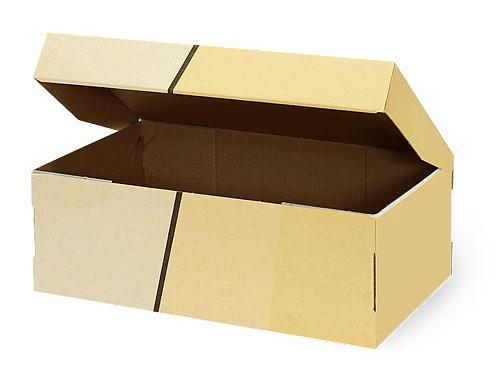 Ящики и лотки оберточного типа Опт фото 1