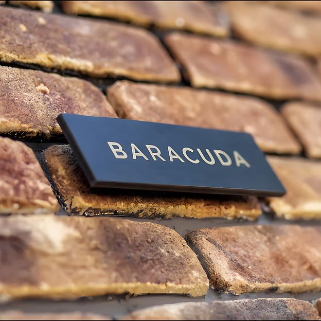 Кирпич «Baracuda» RIGEL 300×100×50 ОПТ фото 3