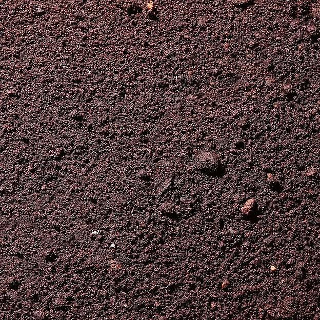 Грунт (чернозёмный) фото 1